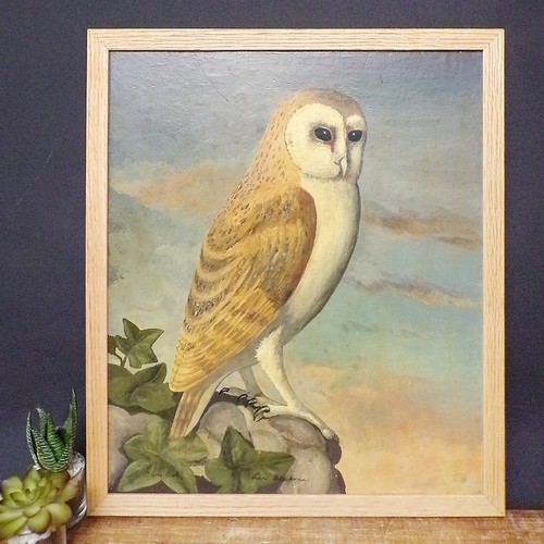 Oil painting bird owl - bird, art