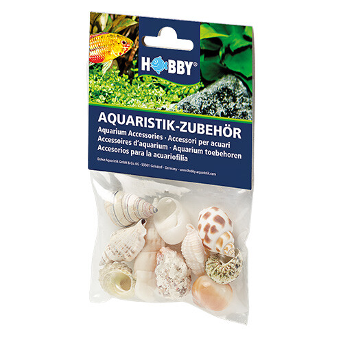 Hobby sea shells set large - sea,