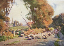 Chester-Le-Street in The