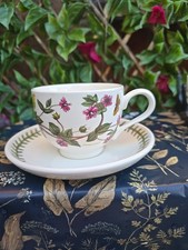 Portmeirion Botanic Garden