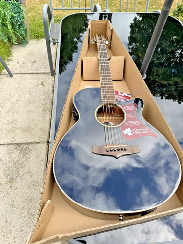 Tanglewood winterleaf tw4 - tw4, bk