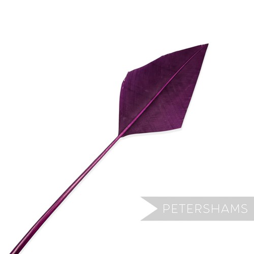 Arrowhead turkey quill - quill, feather