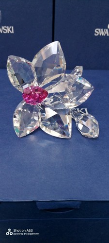Swarovski orchid blossom - orchid,