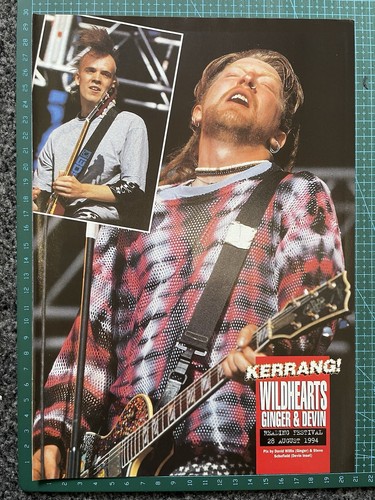 The wildhearts ginger - the,