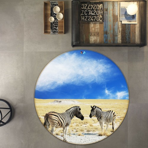 Zebra grassland zhub4147 - zebra,