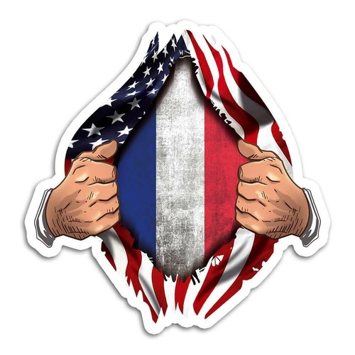 Gift sticker france flag - sticker,