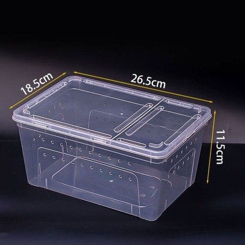 Stackable turtle transport - turtle,