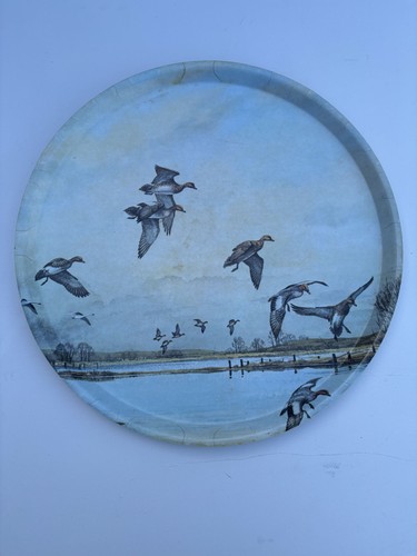 Vintage rspb thetford tray - rspb,