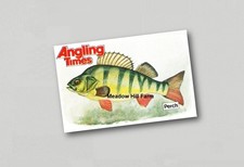 Fridge Magnet Perch 