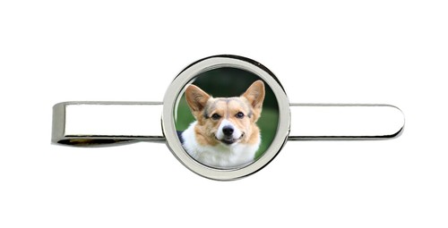 Cardigan welsh corgi - welsh, tie