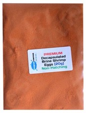 Decapsulated brine shrimp eggs - brine,