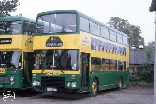 Bus photo lowland - bus,