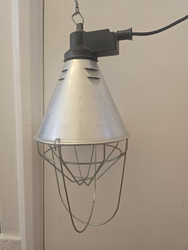 Heat lamp for waterfowl - lamp,