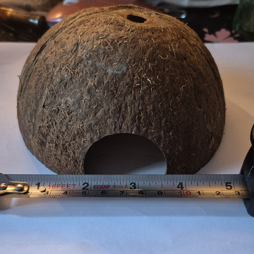 Coconut shell aquarium cave - coconut,