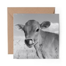 1 x Blank Greeting Card BW -