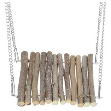 Bearded Dragon Accessories for