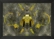 Cobra Framed Wall Art Poster