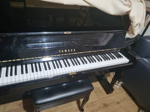 Yamaha b10 upright polished - upright,