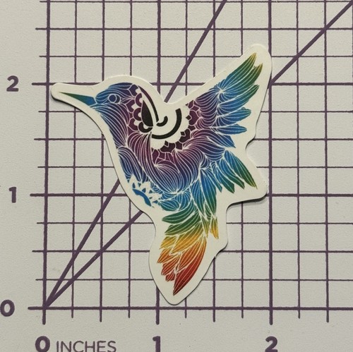 Hummingbird rainbow love - rainbow,