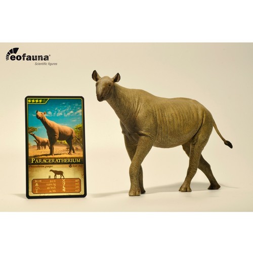 Eofauna paraceratherium - eofauna,
