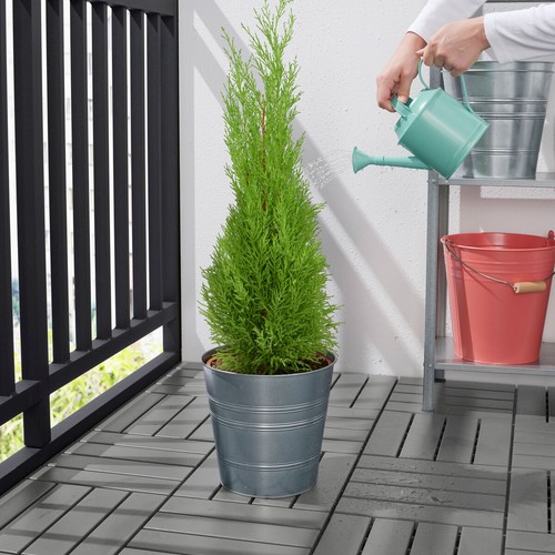Ikea socker watering can - watering, 16