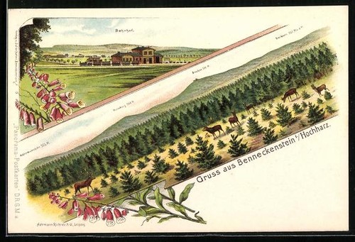 Lithograph benneckenstein - lithograph,
