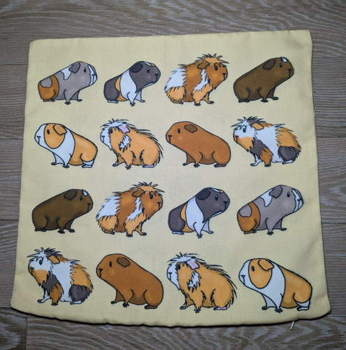 Guinea pig novelty - pig, cushion