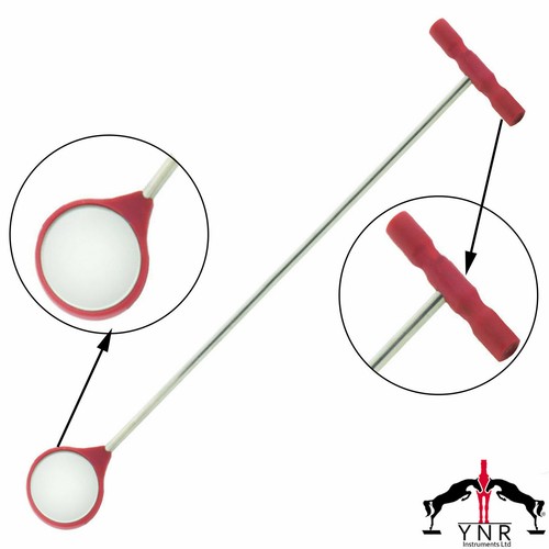 Ynr equine dental mouth mirror - ynr,