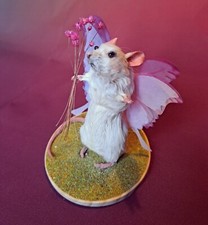 Taxidermy Mouse Whimsical