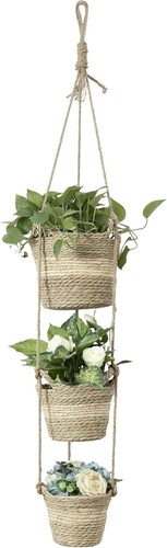 Navaris seagrass hanging plant - navaris,