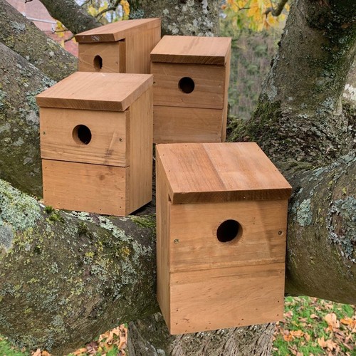 Wooden multi hole wild - wooden, multi-hole