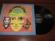 THE CHAMELEONS - JOHN PEEL