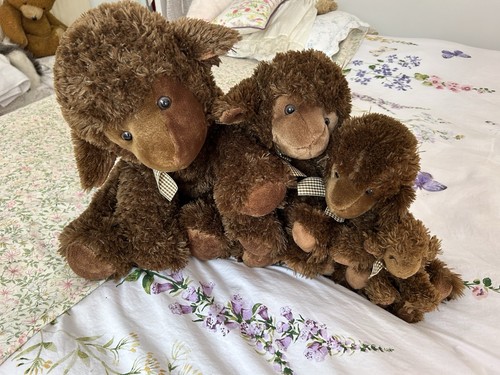 Black sheep cuddly - black, x