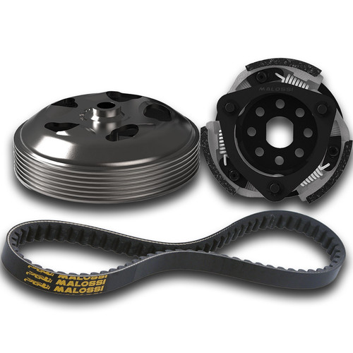 Malossi delta system clutch - malossi,