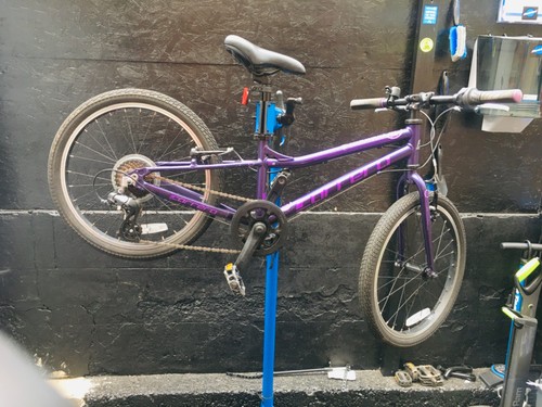 Carrera saruna junior bike - carrera,