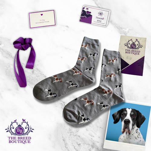 English pointer socks unisex - english,