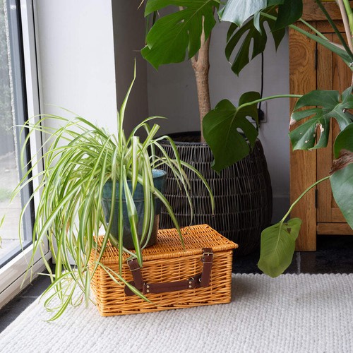 Beedon natural wicker basket - beedon,