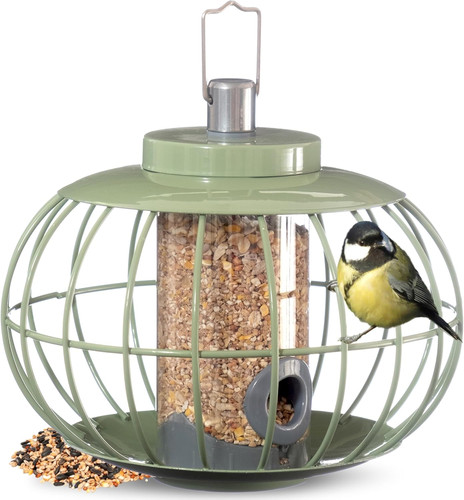 The nuttery lantern bird - lantern,