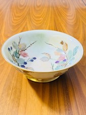 Johann Haviland Bavaria Hand