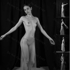 Photographic Collection -