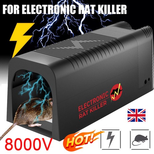 Electronic mouse trap mice - mouse,