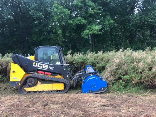 Skidsteer loader flail - skidsteer,