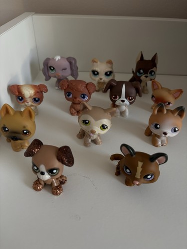 Huge littlest pet - pet, shop