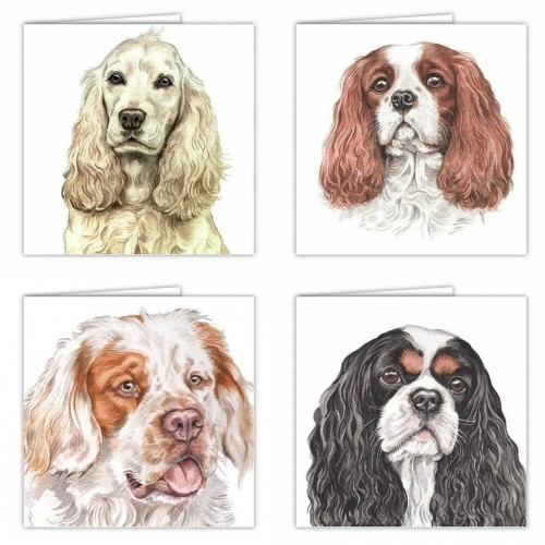 Waggydogz card spaniels - waggydogz,