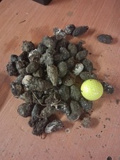 SALE. Barn owl pellets. Large bag of medium size pellets.  See description.