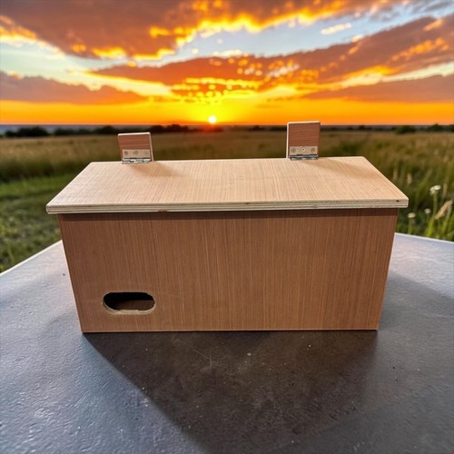 Swift nest box wooden - swift,