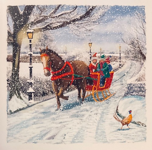 Charity christmas card - charity, ~