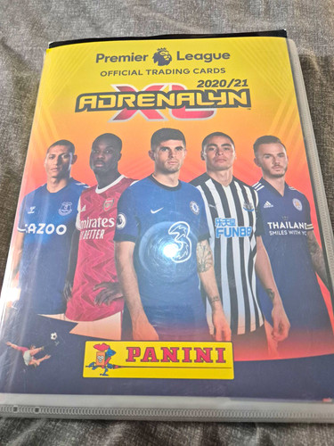Panini premier league - premier,