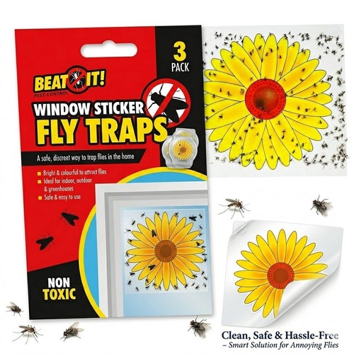 Fly catchers window flower - fly,