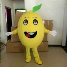 Lemon Fruit Mascot Cosplay